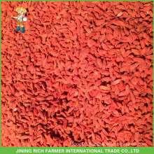 Top Quality Hot Selling Dried Fruit Goji Berry From Zhongning